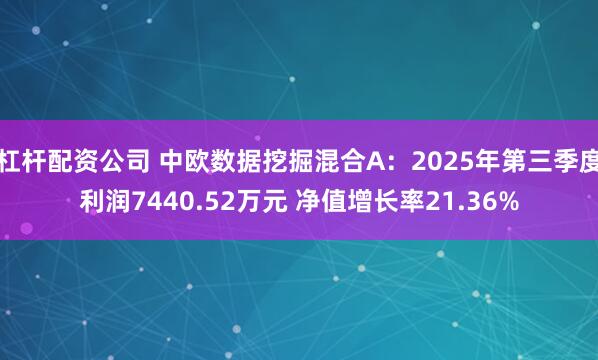 杠杆配资公司 中欧数据挖掘混合A：2025年第三季度利润7440.52万元 净值增长率21.36%