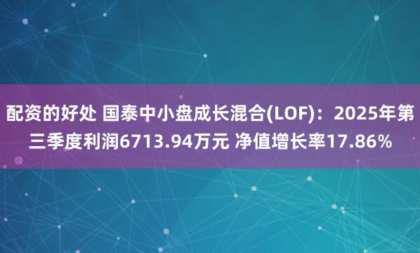 配资的好处 国泰中小盘成长混合(LOF)：2025年第三季度利润6713.94万元 净值增长率17.86%