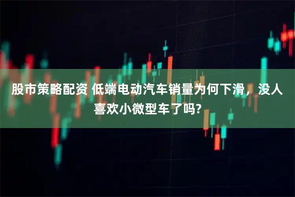 股市策略配资 低端电动汽车销量为何下滑,没人喜欢小微型车了吗?